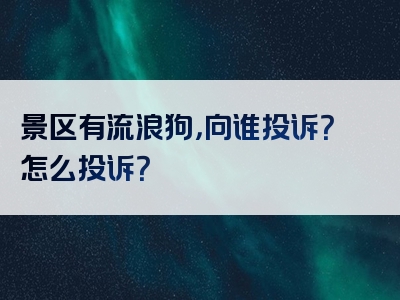 景区有流浪狗，向谁投诉？怎么投诉？