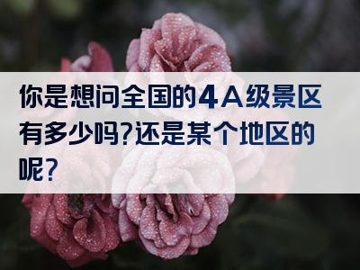 你是想问全国的4A级景区有多少吗？还是某个地区的呢？