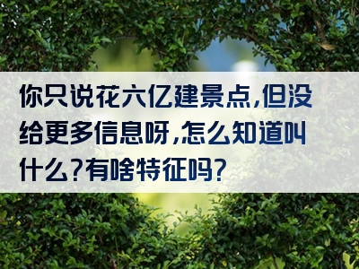 你只说花六亿建景点，但没给更多信息呀，怎么知道叫什么？有啥特征吗？