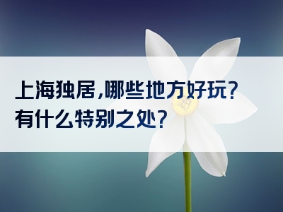 上海独居，哪些地方好玩？有什么特别之处？