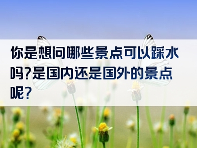 你是想问哪些景点可以踩水吗？是国内还是国外的景点呢？