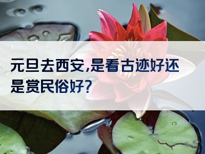元旦去西安，是看古迹好还是赏民俗好？