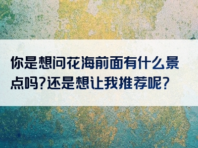 你是想问花海前面有什么景点吗？还是想让我推荐呢？