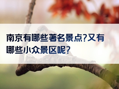 南京有哪些著名景点？又有哪些小众景区呢？