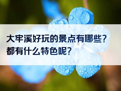 大牢溪好玩的景点有哪些？都有什么特色呢？