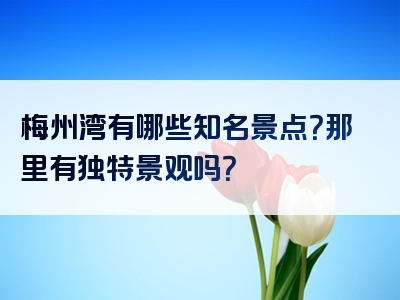 梅州湾有哪些知名景点？那里有独特景观吗？