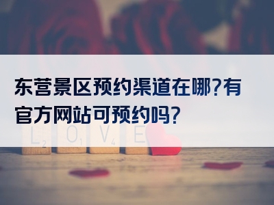 东营景区预约渠道在哪？有官方网站可预约吗？