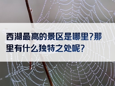 西湖最高的景区是哪里？那里有什么独特之处呢？