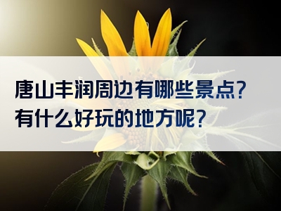 唐山丰润周边有哪些景点？有什么好玩的地方呢？