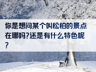 你是想问某个叫松柏的景点在哪吗？还是有什么特色呢？