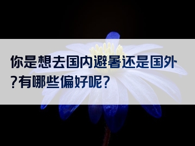 你是想去国内避暑还是国外？有哪些偏好呢？