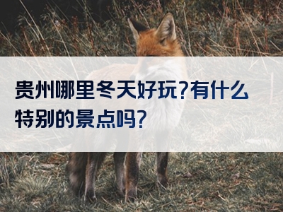 贵州哪里冬天好玩？有什么特别的景点吗？