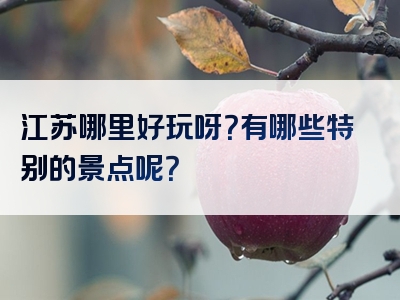 江苏哪里好玩呀？有哪些特别的景点呢？