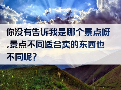 你没有告诉我是哪个景点呀，景点不同适合卖的东西也不同呢？