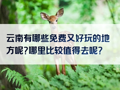 云南有哪些免费又好玩的地方呢？哪里比较值得去呢？