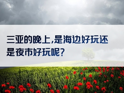 三亚的晚上，是海边好玩还是夜市好玩呢？