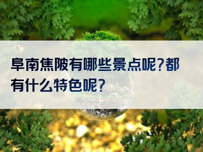 阜南焦陂有哪些景点呢？都有什么特色呢？