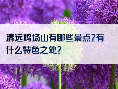 清远鸡场山有哪些景点？有什么特色之处？