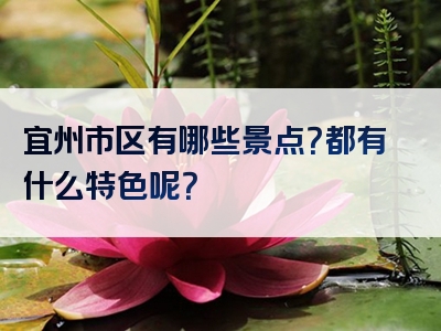 宜州市区有哪些景点？都有什么特色呢？