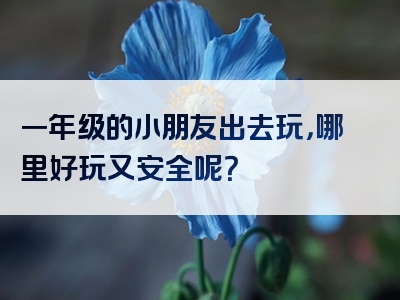 一年级的小朋友出去玩，哪里好玩又安全呢？