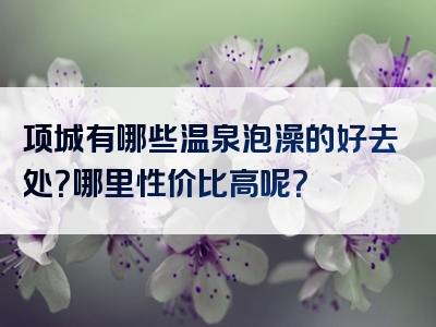 项城有哪些温泉泡澡的好去处？哪里性价比高呢？