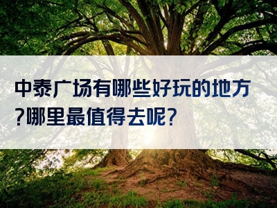 中泰广场有哪些好玩的地方？哪里最值得去呢？