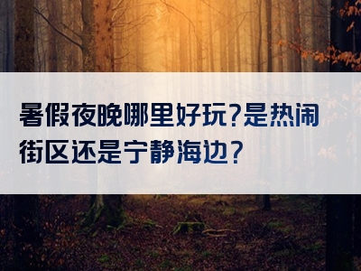 暑假夜晚哪里好玩？是热闹街区还是宁静海边？