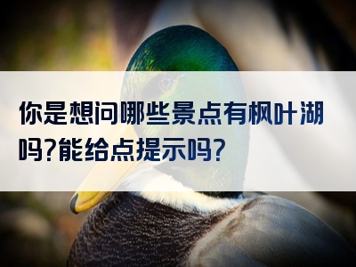 你是想问哪些景点有枫叶湖吗？能给点提示吗？