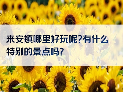 来安镇哪里好玩呢？有什么特别的景点吗？