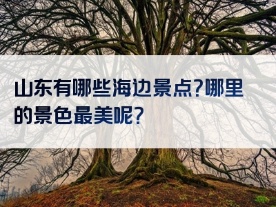 山东有哪些海边景点？哪里的景色最美呢？