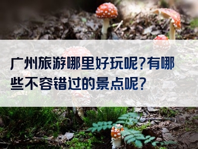 广州旅游哪里好玩呢？有哪些不容错过的景点呢？