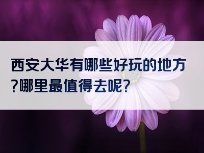 西安大华有哪些好玩的地方？哪里最值得去呢？