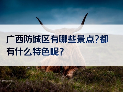 广西防城区有哪些景点？都有什么特色呢？