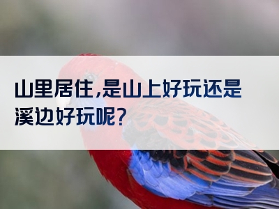 山里居住，是山上好玩还是溪边好玩呢？