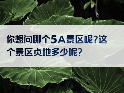 你想问哪个5A景区呢？这个景区占地多少呢？