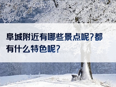 阜城附近有哪些景点呢？都有什么特色呢？