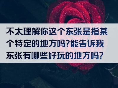 不太理解你这个东张是指某个特定的地方吗？能告诉我东张有哪些好玩的地方吗？