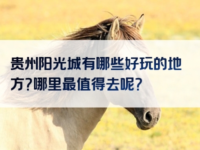 贵州阳光城有哪些好玩的地方？哪里最值得去呢？