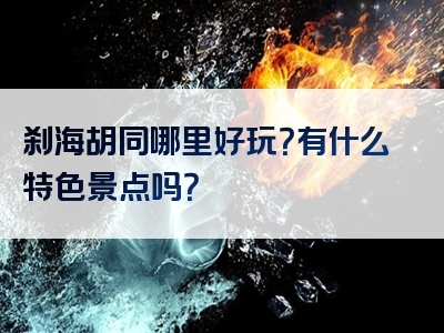 刹海胡同哪里好玩？有什么特色景点吗？