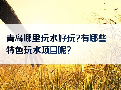 青岛哪里玩水好玩？有哪些特色玩水项目呢？