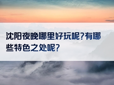 沈阳夜晚哪里好玩呢？有哪些特色之处呢？