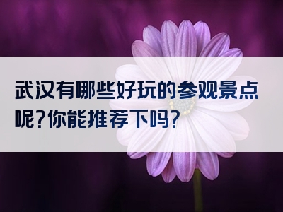 武汉有哪些好玩的参观景点呢？你能推荐下吗？