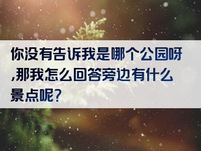 你没有告诉我是哪个公园呀，那我怎么回答旁边有什么景点呢？