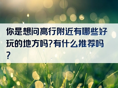 你是想问高行附近有哪些好玩的地方吗？有什么推荐吗？