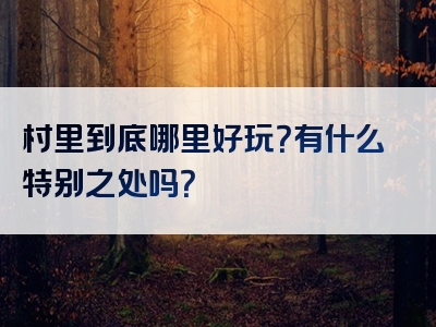 村里到底哪里好玩？有什么特别之处吗？