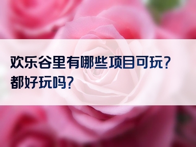 欢乐谷里有哪些项目可玩？都好玩吗？