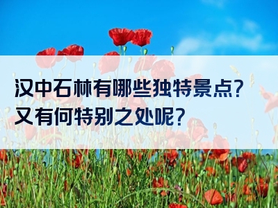 汉中石林有哪些独特景点？又有何特别之处呢？