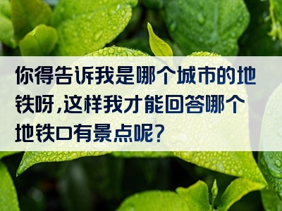 你得告诉我是哪个城市的地铁呀，这样我才能回答哪个地铁口有景点呢？