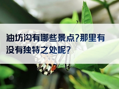 油坊沟有哪些景点？那里有没有独特之处呢？