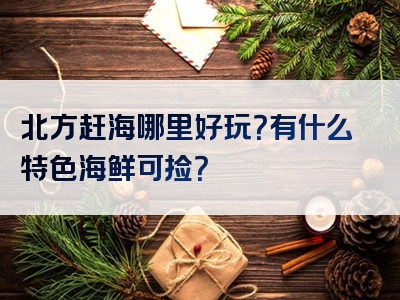 北方赶海哪里好玩？有什么特色海鲜可捡？